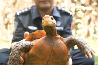 新利体育客户端下载平台截图4